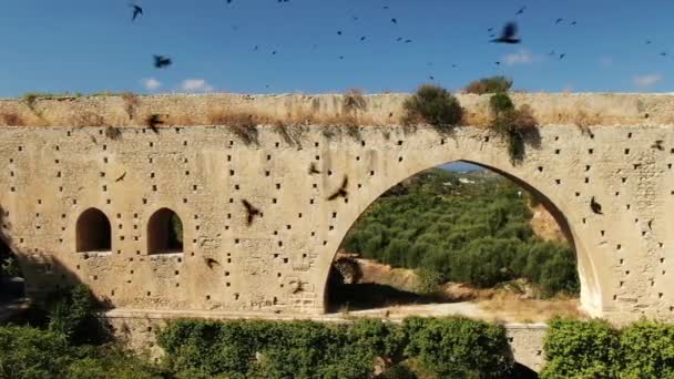 Old Bridge Under Ancient Canal Crows Fly — Stock Video