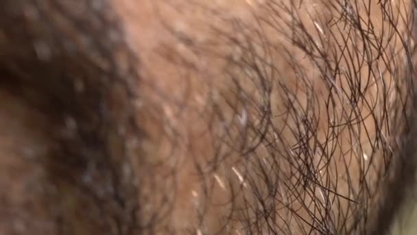 Groot close-up van het harde gezicht van een baard volwassen man — Stockvideo