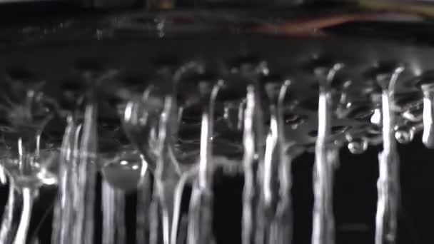 Dusch huvud med vatten droppar stänker ut och kör från kran i badrum flödar i Slow Motion — Stockvideo