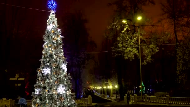 Ein Weihnachtsbaum im Freien vor einem Haus, das nachts mit farbigen Lichtern geschmückt ist — Stockvideo