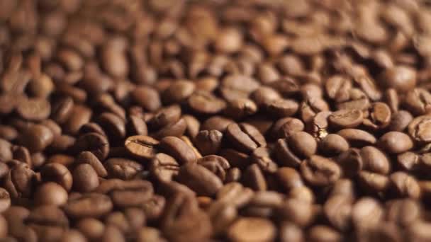 Close up Coffee Beans Tracking Shot Fallen Out Of Bag — Stock Video