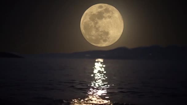 Pełnia księżyca z ptakami latającymi przed wodą — Wideo stockowe
