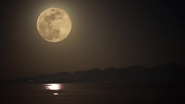 Luna llena con pájaros volando en el agua delantera — Vídeo de stock