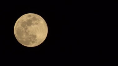 Önünde kuşlar uçuşan dolunay. Bulutlu Ay Gökyüzünde Hareket Ediyor