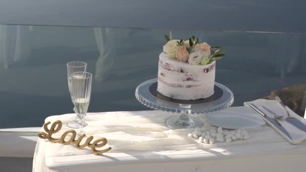 Happy Fabulous Couple schneidet ihre Hochzeitstorte mit — Stockvideo