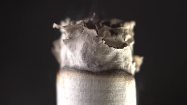 Makro av en brinnande cigarett. Extrem närbild. — Stockvideo