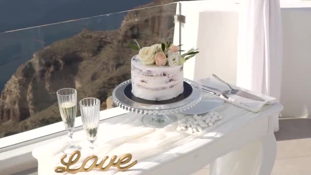 हॅपी फॅब्युलस जोडपे त्यांच्या लग्नाच्या केक कापते — स्टॉक व्हिडिओ