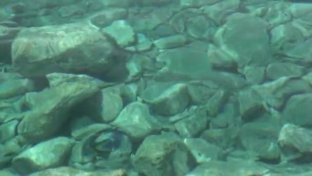 Slow Motion Pure blue water in the pool with light reflections stones — Stock Video