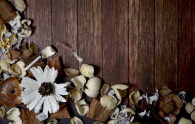 Arka plan ile kuru vanilya, çiçekler