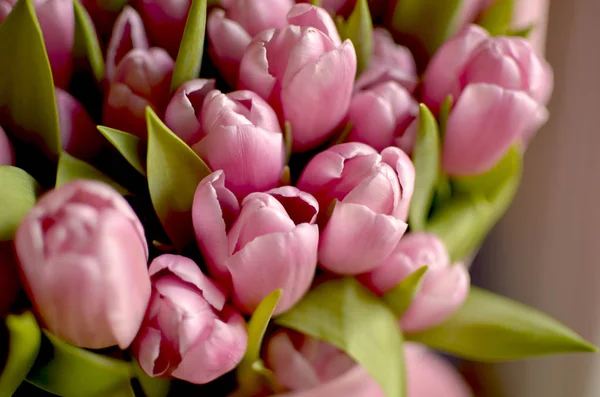 Frühlingsstrauß Aus Rosa Tulpen — Stockfoto