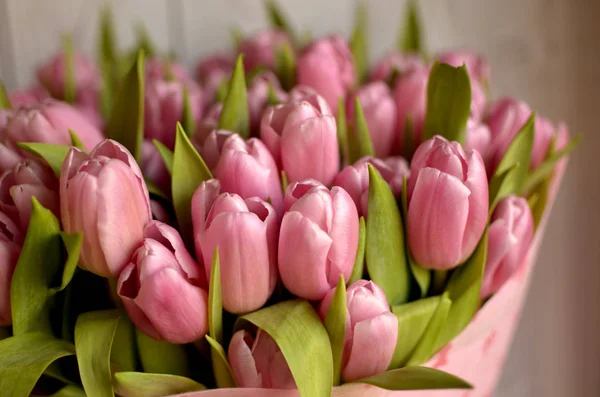 Весенний Букет Розовых Тюльпанов — стоковое фото