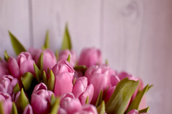 Frühlingsstrauß Aus Rosa Tulpen — Stockfoto