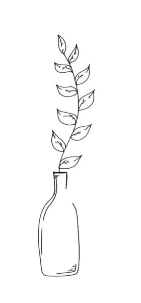 Folha esboço desenhado em vaso isolado em um fundo branco — Fotografia de Stock