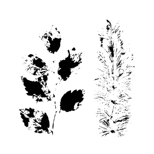 Elementy sylwetki liści odizolowane na białym tle. — Zdjęcie stockowe
