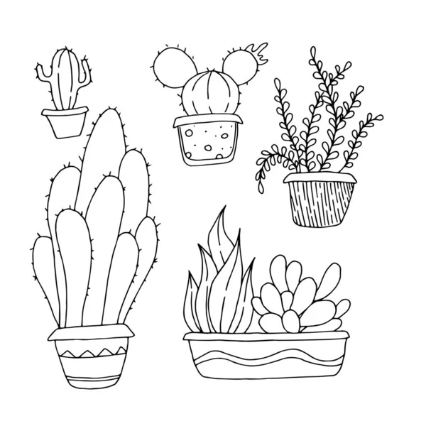 Kézzel rajzolt kaktuszok edényekben. Fekete-fehér növények izolált wh — Stock Fotó