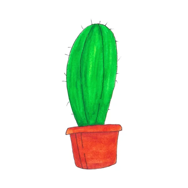 Green watercolor cactus in a pot isolated on white background — 스톡 사진