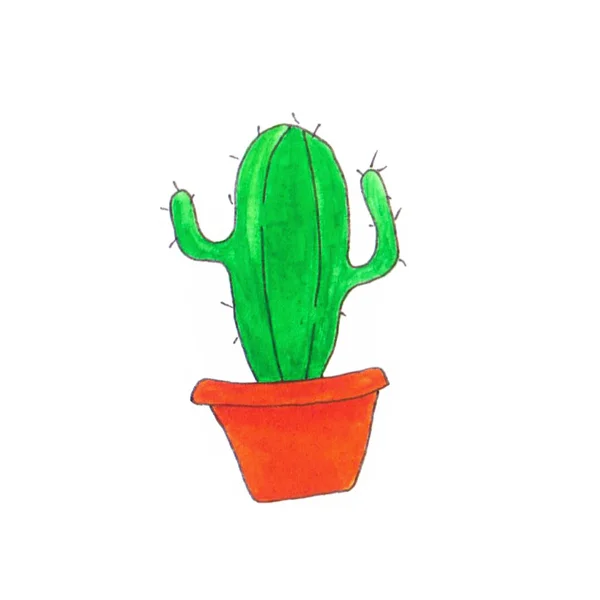 Groene cactus in een pot geïsoleerd op witte achtergrond — Stockfoto