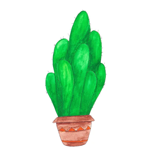 Green watercolor cactus in a pot isolated on white background — 스톡 사진