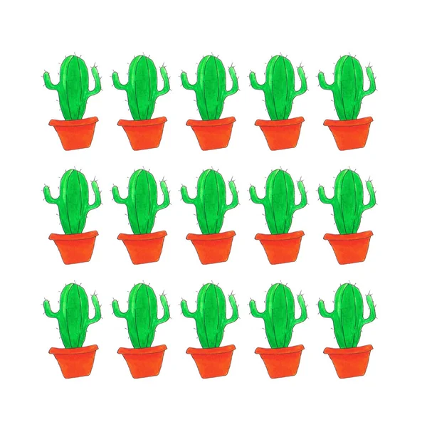 Repitiendo Lindo Cactus Verde Una Olla Naranja Fondo Blanco — Foto de Stock