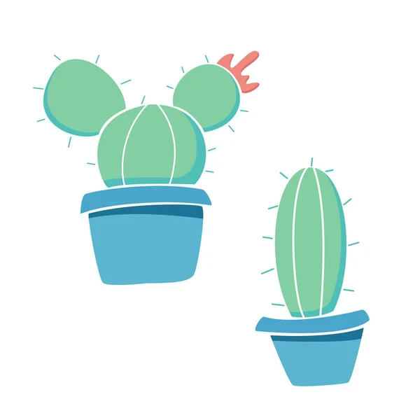 Kaktusz Fazékban Fehér Alapon Elszigetelt Zöld Növények — Stock Fotó