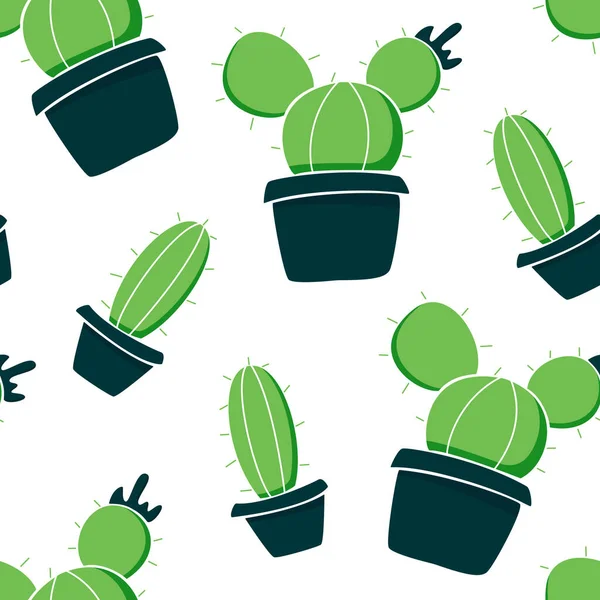 Cactus Vaso Piante Verdi Sfondo Bianco — Foto Stock