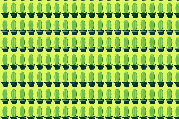Кактус Горщиках Зелені Рослини Жовтому Тлі — стокове фото