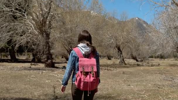 Chica viajando por el bosque — Vídeo de stock