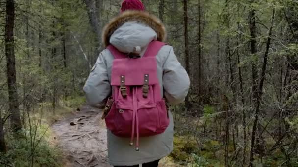 Mujer mochilero senderismo en el camino en el bosque — Vídeo de stock
