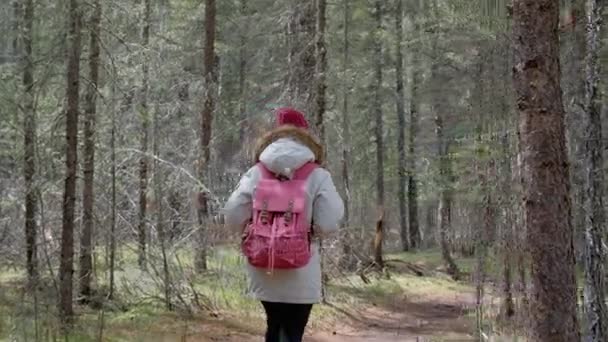 Žena batohem na cestě v lese — Stock video