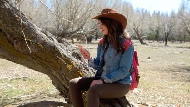 山の牧草地の携帯電話を持つ女性 — ストック動画