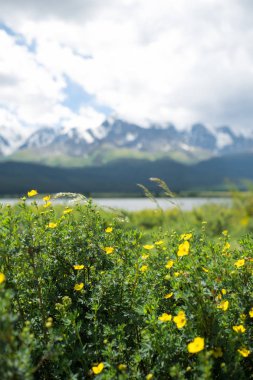 Altay gölde görkemli dağ.