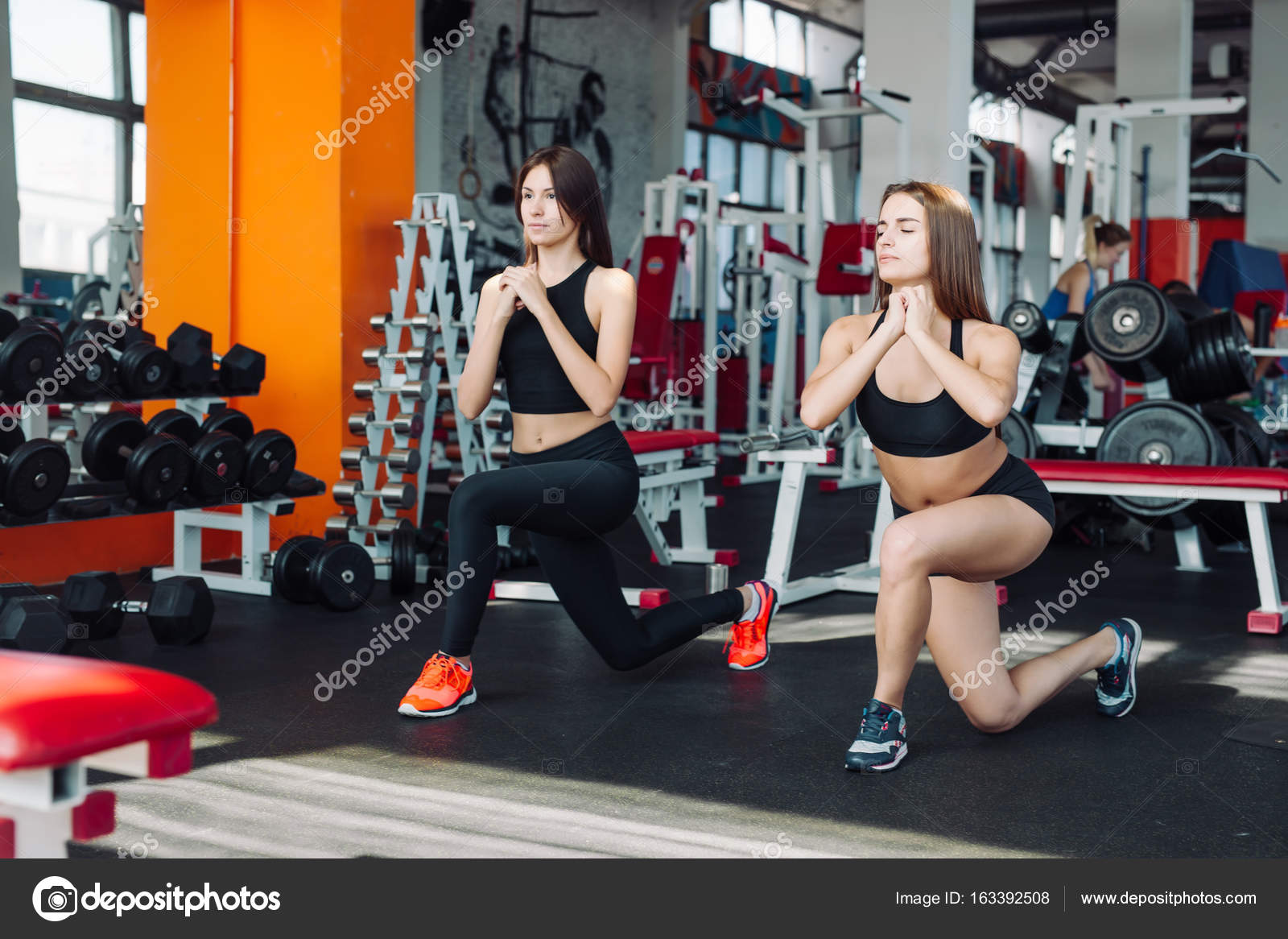 todo sobre el gimnasio todo sobre el gimnasio