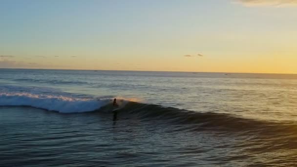 Surf: donna surfista cavalcando le onde blu slow motion — Video Stock