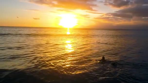 Mujer joven remando en la tabla de surf en el océano — Vídeo de stock