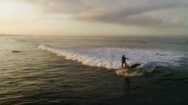 Surf: Mujer surfista cabalgando sobre las olas azules — Vídeo de stock