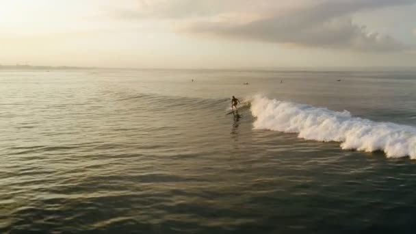 Surfování: Muž surfař jízda na zpomalené modré vlny — Stock video