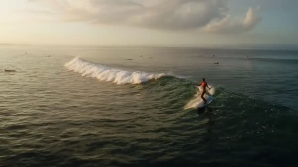 Surf : Surfeuse chevauchant sur les vagues bleues au ralenti — Video
