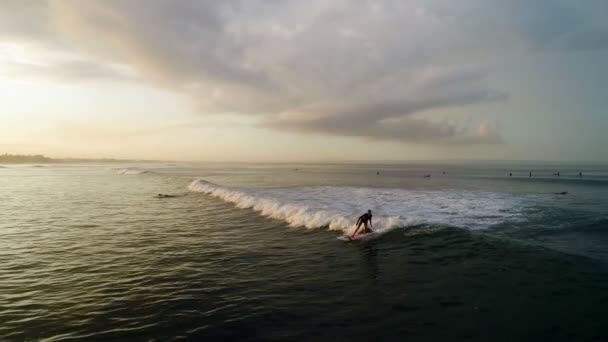 Surfování: Žena surfař jízda na zpomalené modré vlny — Stock video