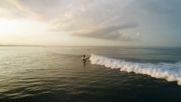 Sörf: mavi dalgalar üzerinde sürme sörfçü adam — Stok video