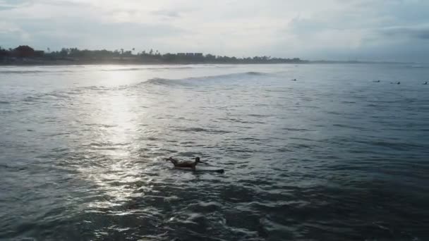 Mujer joven remando en la tabla de surf en el océano en cámara lenta — Vídeo de stock