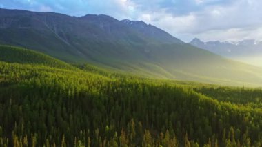 Hava Aracı Görüntüsü: Ormanlar, çayırlar ve tepelerle birlikte günbatımı yumuşak ışıklarıyla sonbahar dağlarının üzerinden uçmak. Altay Dağları, Rusya. Muhteşem bir manzara. Güzellik dünyası. 4k çözünürlüğü.