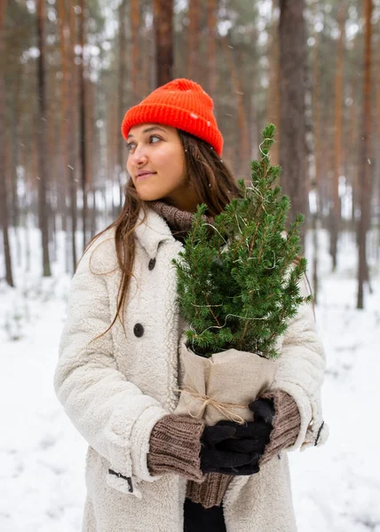 Young woman embracing tree in winter forest — Stock Photo, Image