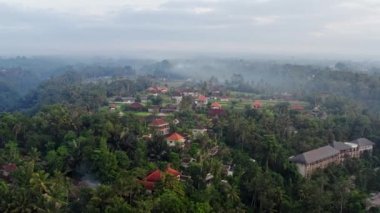 Tropikal Orman 'da Güzel Gün Doğumu. Ormanda Sabah Sisi. Ubud, Bali.