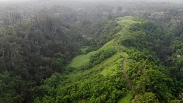 Aerial View dzsungel, esőerdő a hegyekben. Trópusi erdő nyomvonal művész Ubud, fák, zöld buja növényzet. Dzsungel táj Ubud, Bali. — Stock videók