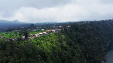 Tropikal Orman 'da Güzel Gün Doğumu. Ormanda Sabah Sisi. Ubud, Bali.