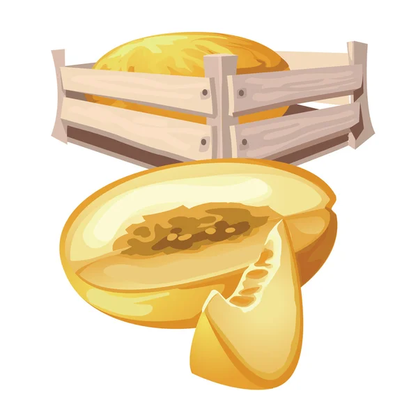 Meloun sklizeň v dřevěné krabici, vektorové ovoce — Stockový vektor