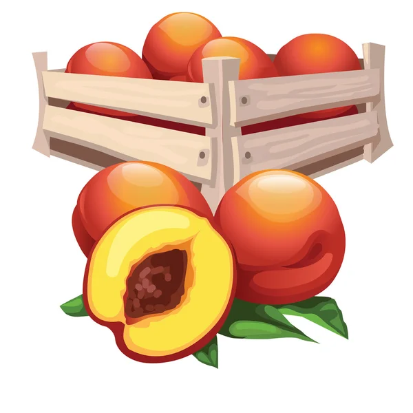 Cosecha de melocotón en caja de madera, fruta vector — Vector de stock