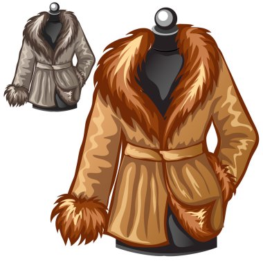 Womens brown winter coat with fur collar clipart