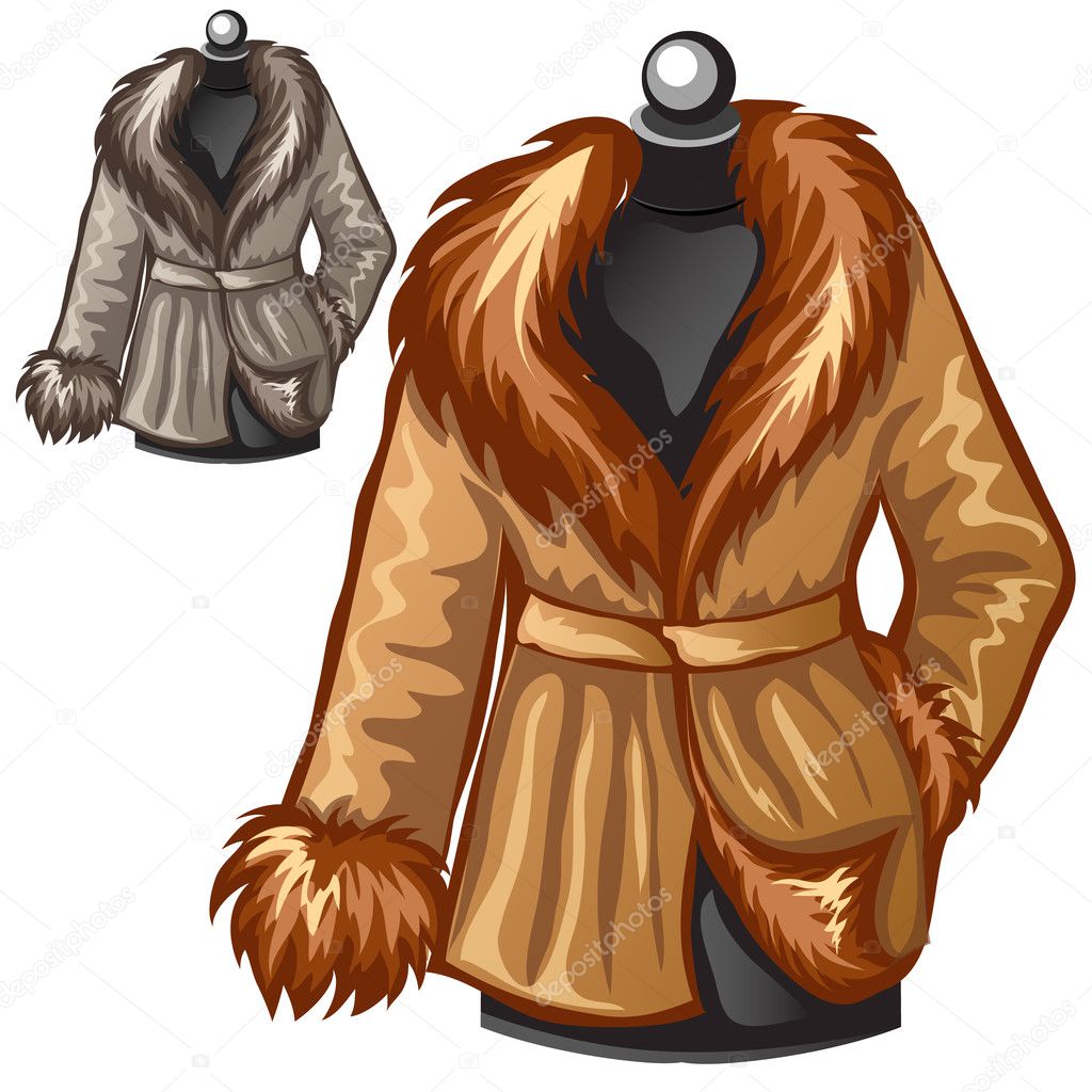 Womens brown winter coat with fur collar