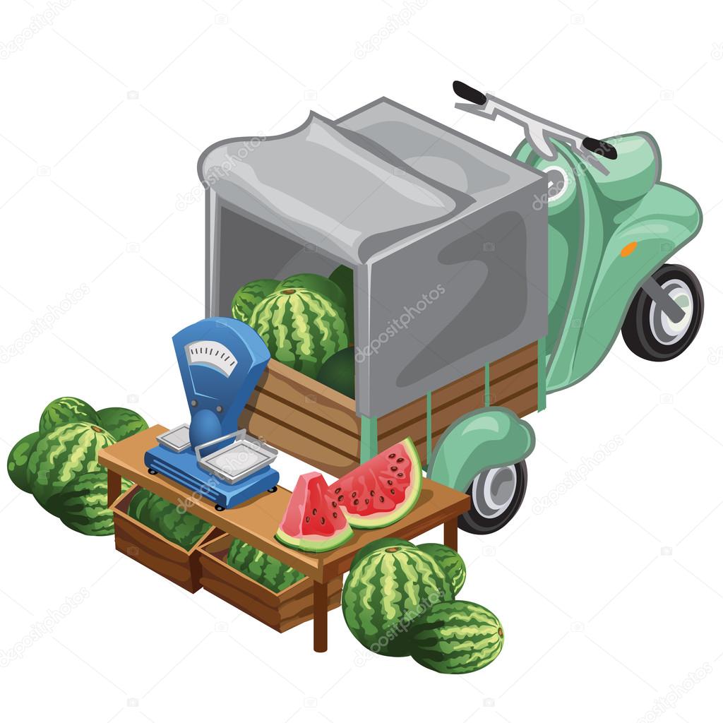 Selling watermelon harvest from scooter. Vector